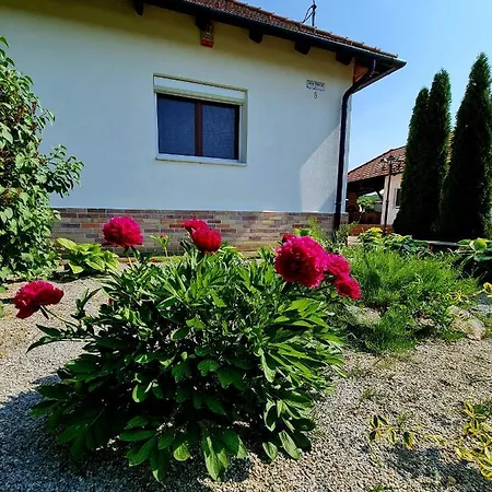 Apartment Meszkoe Vendeghaz - Meszes
