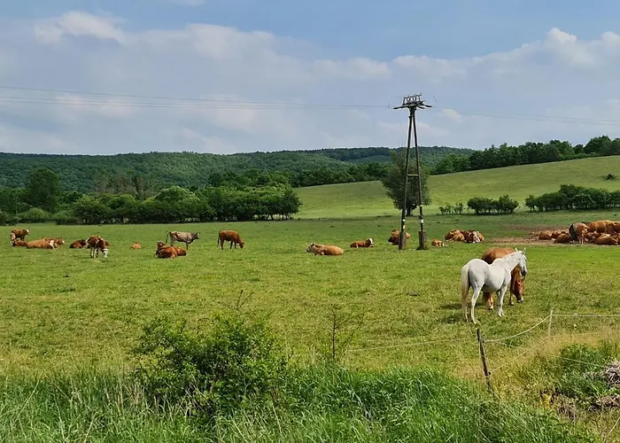 Meszkoe Vendeghaz - شقة